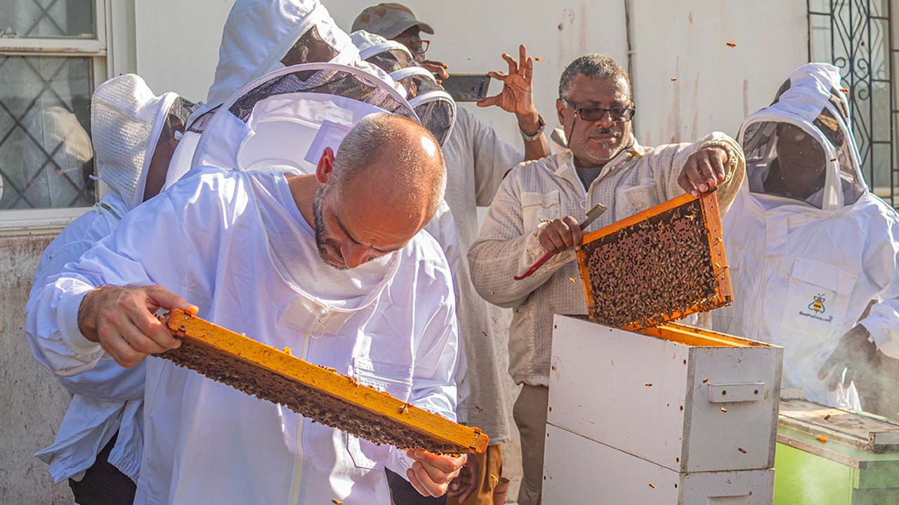 National Bee Keeping Awareness Technical Meeting
